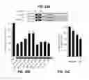 Fig. 50 - Methods and compositions for treating degenerative and ischemic disorders
