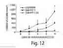 Fig. 07 - Small Molecule Antagonists of Phosphatidylinositol-3,4,5-Triphosphate (PIP3) and Uses Thereof