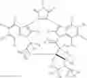 Fig. 08 - DEUTERIUM-ENRICHED RUBOXISTAURIN