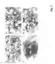 Fig. 08 - Method and composition for crystallizing G protein-coupled receptors
