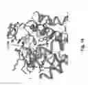 Fig. 28 - Method and composition for crystallizing G protein-coupled receptors