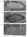Fig. 12 - Integrin Heterodimer And A Subunit Thereof