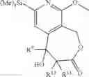 Fig. 22 - CAMPTOTHECIN ANALOGS AND METHODS OF PREPARATION THEREOF