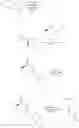 Fig. 500 - Pyridinyl compounds useful as intermediates
