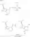 Fig. 24 - Process for the preparation of pyrazole carboxylic acid amides