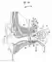 Fig. 02 - HEARING PROSTHESIS HAVING A FLEXIBLE ELONGATE ENERGY TRANSFER MECHANISM