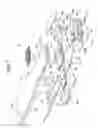 Fig. 06 - System for magnetic resonance and X-ray imaging