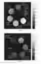 Fig. 07 - Multi-modality nanoparticles having optically responsive shape