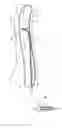 Fig. 01 - Methods of Transvascular Retrograde Access Placement and Devices for Facilitating the Placement