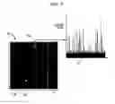 Fig. 05 - Retinal Flow Cytometry