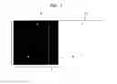 Fig. 07 - Retinal Flow Cytometry