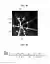 Fig. 09 - Retinal Flow Cytometry