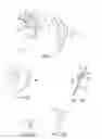 Fig. 02 - Correcting misshaped ears