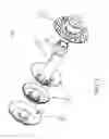 Fig. 02 - Ostomy containment device