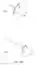 Fig. 40 - Ostomy containment device