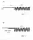 Fig. 08 - Catheter