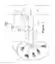 Fig. 02 - RENAL DENERVATION CATHETER AND METHOD USING pH ALTERATION