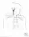 Fig. 02 - Methods of transvascular retrograde access placement and devices for facilitating therein