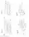 Fig. 19 - DEVICE FOR REMOVING ACROCHORDONS