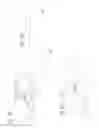 Fig. 34 - DEVICE FOR REMOVING ACROCHORDONS