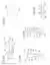 Fig. 40 - DEVICE FOR REMOVING ACROCHORDONS