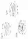 Fig. 50 - DEVICE FOR REMOVING ACROCHORDONS
