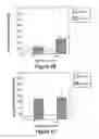 Fig. 06 - PHOTOCHEMICAL TISSUE BONDING