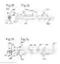 Fig. 03 - SURGICAL THREAD WITH SHEATH-CORE CONSTRUCTION