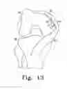 Fig. 07 - BONE PROTECTOR, KIT AND METHOD
