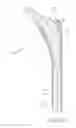 Fig. 22 - PROSTHETIC HIP IMPLANTS