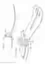 Fig. 08 - ELECTRONICALLY CONTROLLED PROSTHETIC SYSTEM