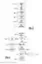 Fig. 03 - Methods and apparatus for activating applications