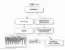 Fig. 27 - Attitude estimation for pedestrian navigation using low cost mems accelerometer in mobile applications, and processing methods, apparatus and systems