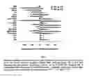 Fig. 03 - Method of diagnosing and treating asphyxia