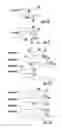 Fig. 11 - Systems and Methods for Conducting On-Line Auctions