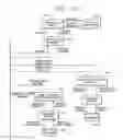 Fig. 20 - Programmed trading system