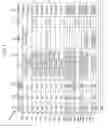 Fig. 06 - METHOD AND SYSTEM FOR SAFEGUARDING DIGITAL OBJECTS CONSISTING OF DIGITAL ASSETS