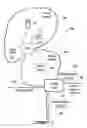Fig. 02 - Identification of a private device in a public network