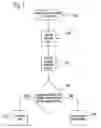 Fig. 06 - Apparatus, systems and methods for managing incoming and outgoing communication
