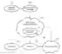Fig. 01 - System and method for controlling server usage in peer-to-peer (P2P) based streaming service
