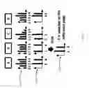 Fig. 32 - CONTENT LOCALITY-BASED CACHING IN A DATA STORAGE SYSTEM