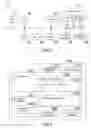 Fig. 04 - Specifying a web address in order to provide dummy data to be temporarily inserted in a document and later replacing the dummy data