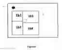 Fig. 06 - Navigating a network of options