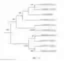 Fig. 22 - STRESS TOLERANCE IN PLANTS