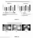 Fig. 47 - Plants Having Modulated Carbon Partitioning and a Method for Making the Same