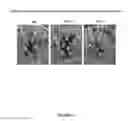 Fig. 49 - Plants Having Modulated Carbon Partitioning and a Method for Making the Same