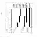 Fig. 05 - Methods for genetic control of insect infestation in plants and compositions thereof
