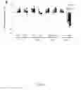 Fig. 07 - Constructs expressing chimeric receptors and use thereof for the controlled activation of defence response to pathogens in plants