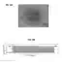 Fig. 22 - Atomic force microscope manipulation of living cells
