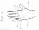 Fig. 03 - Open palm hand covers and uses of said covers